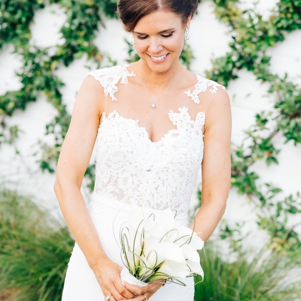 Pronovias Vincenta Wedding Dress